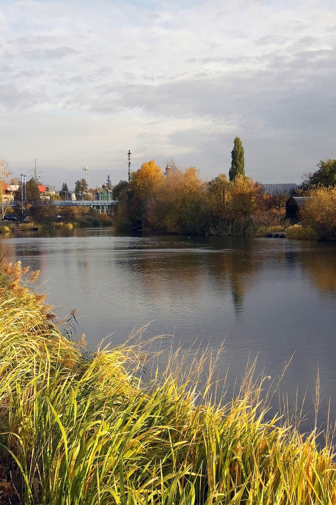 Осеннее утро на Цне