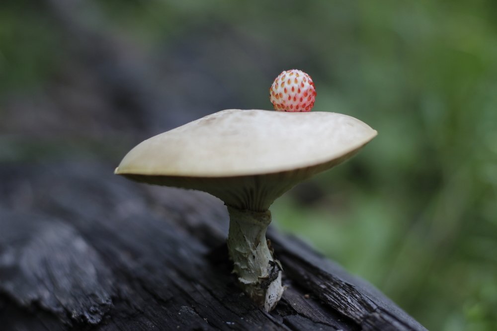 Фотография автора Аяужан Утеулинова