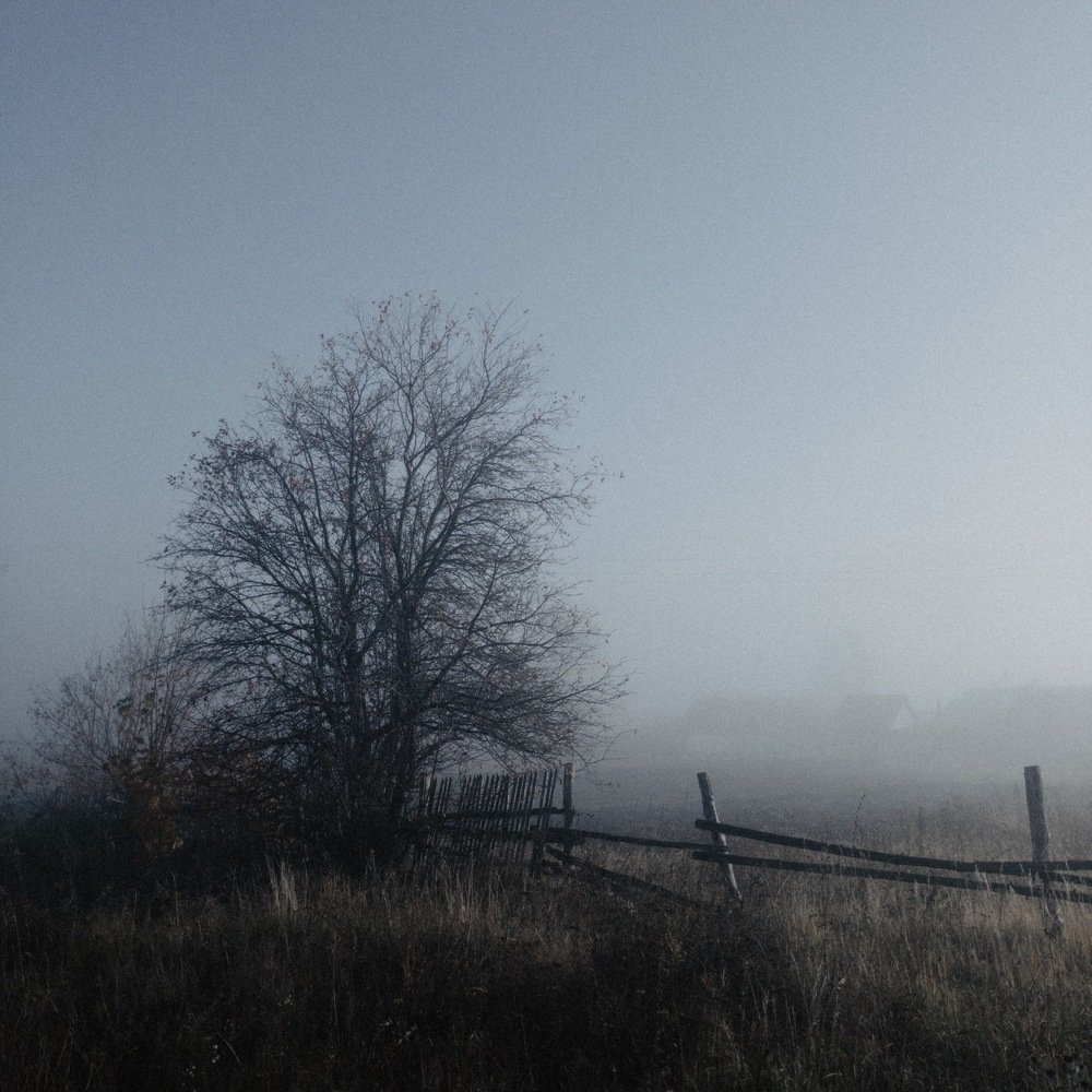 Photograph by Александр Старцев