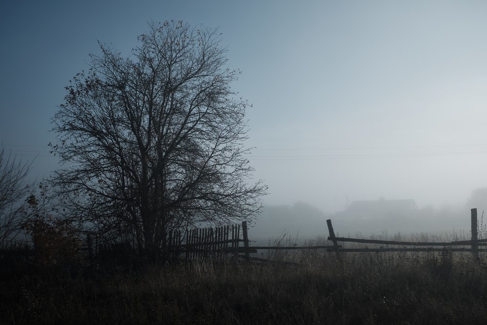 Photograph by Александр Старцев