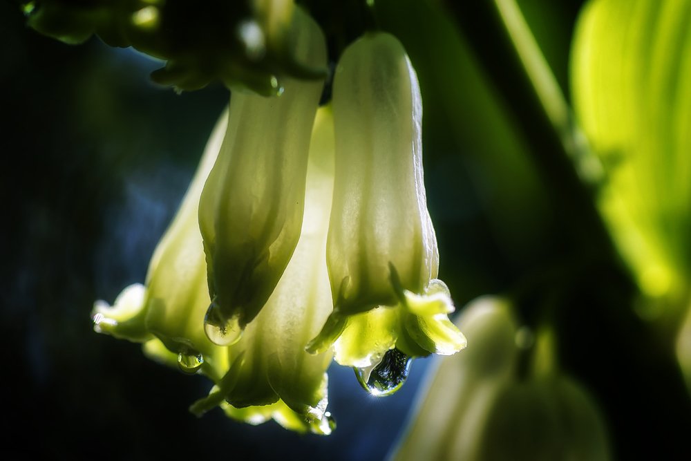 Photograph by Владимир Штыриков