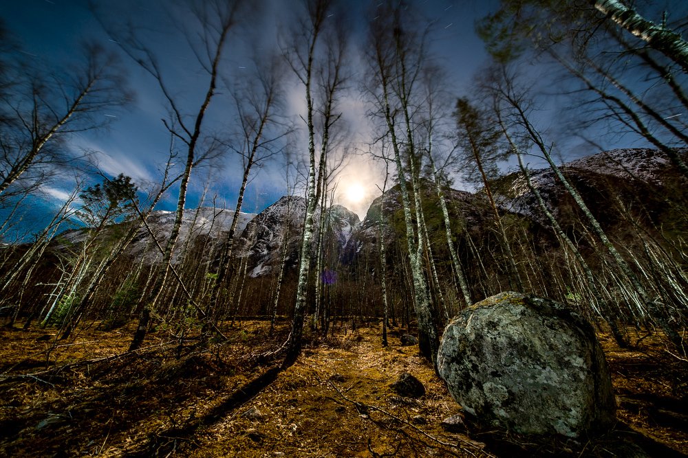 Фотография автора Ross McGree