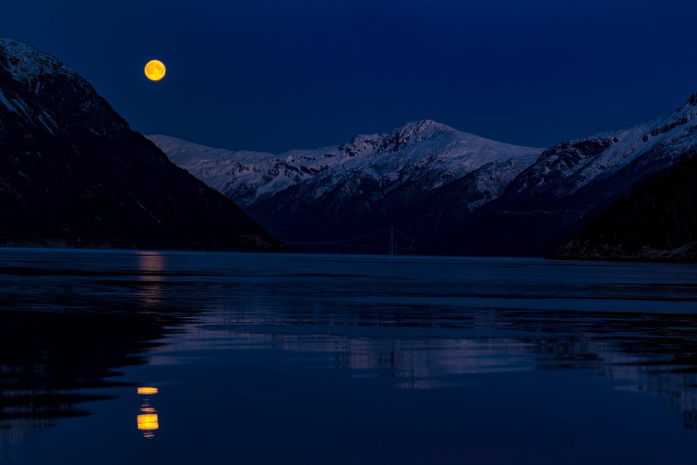 Фотография автора Ross McGree