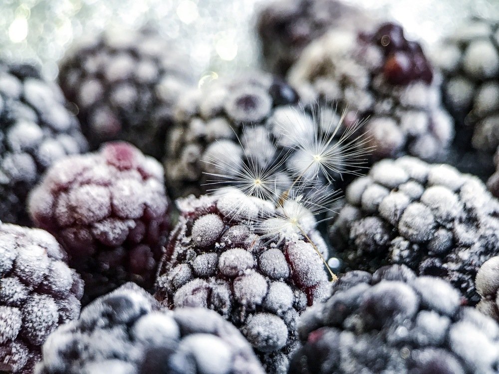 Photograph by Оксана Лукшина