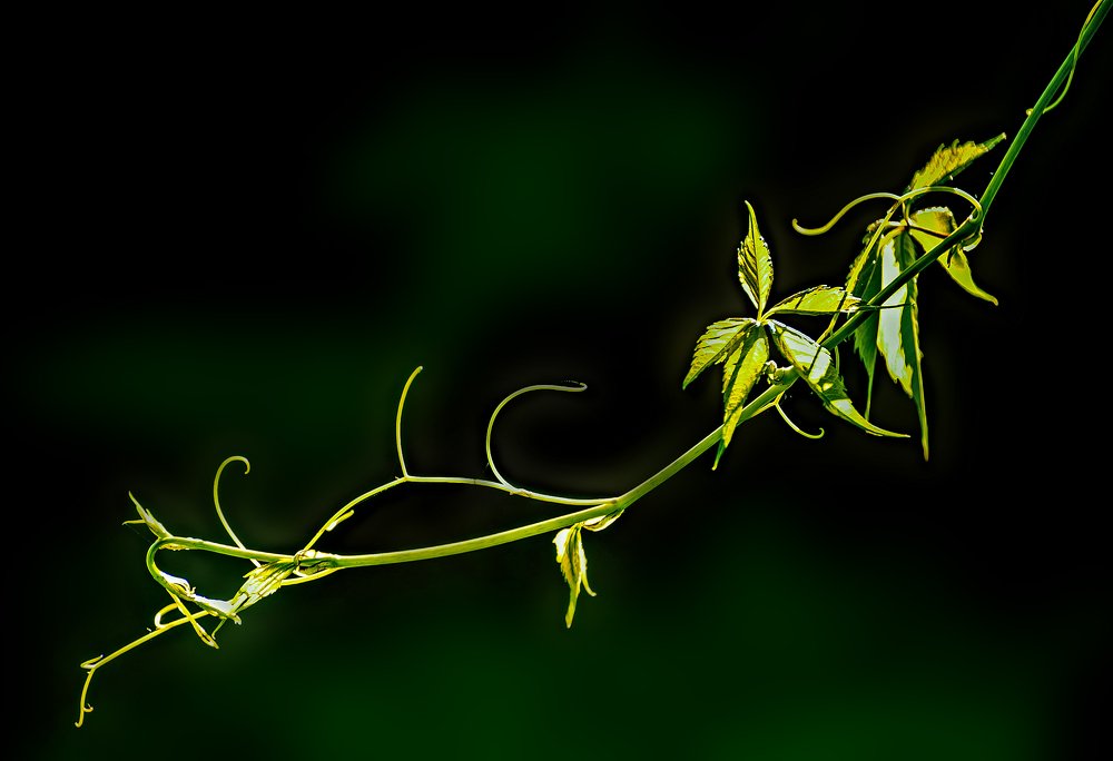 Photograph by Владимир Штыриков