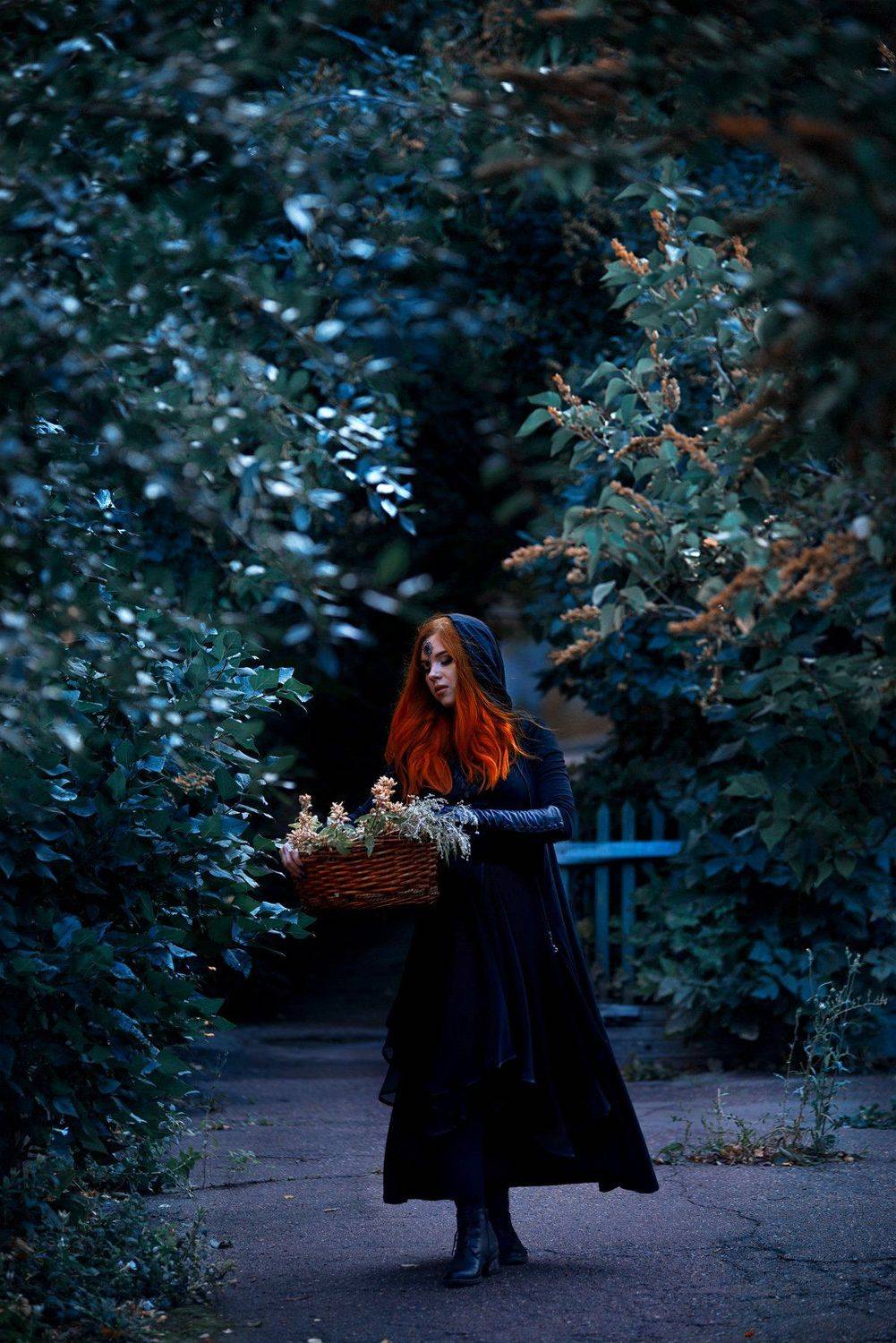 Фотография #3732991