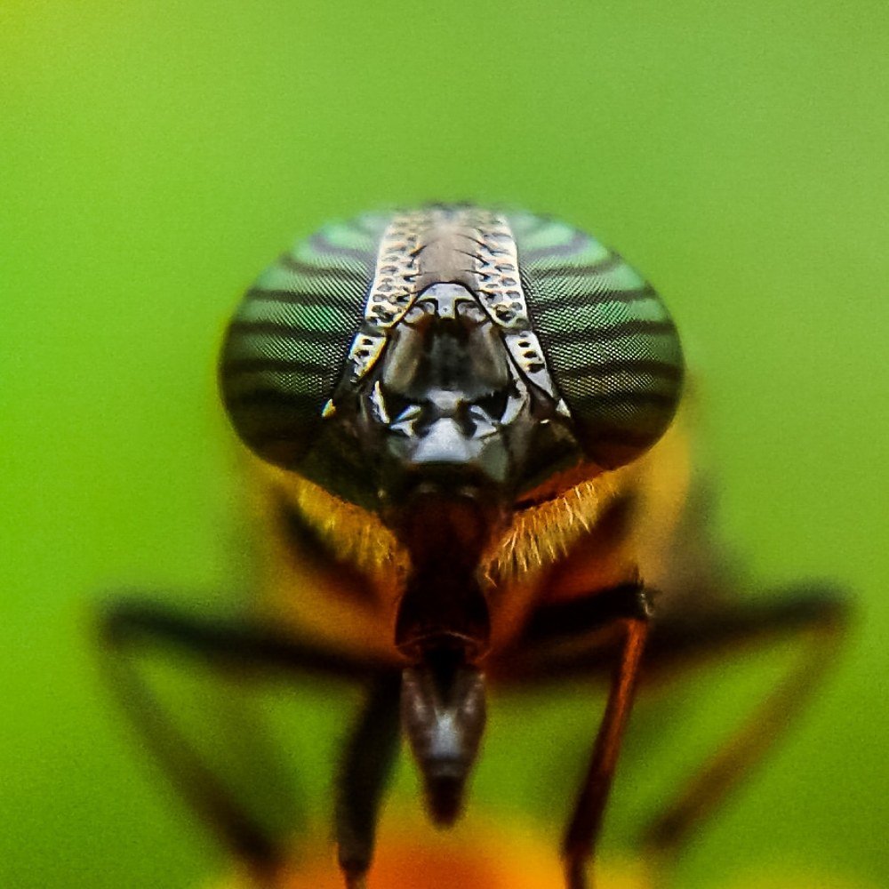 Photograph by Tikeswar Gahir