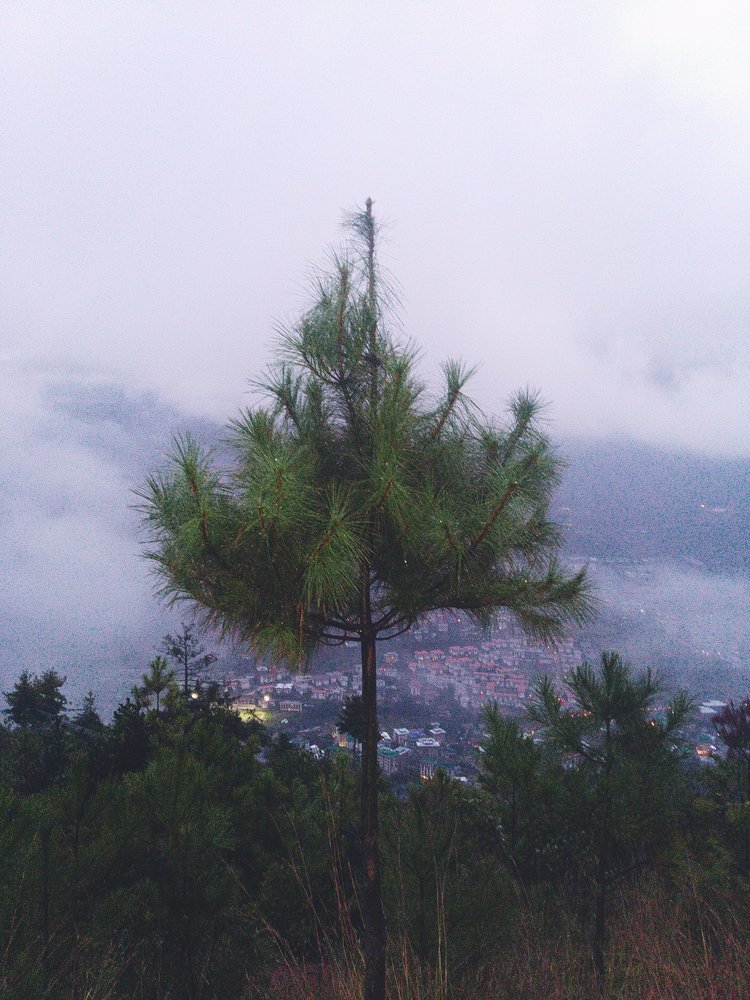 Photograph by sagar rai