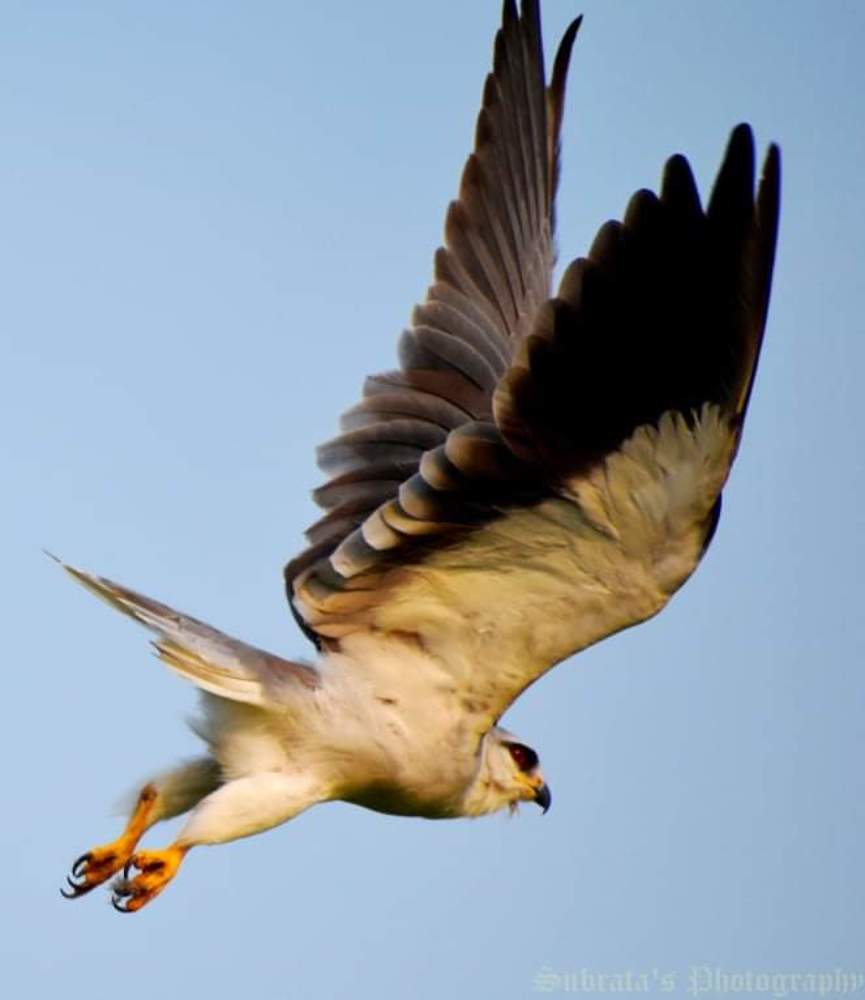 Photograph by Subrata Das