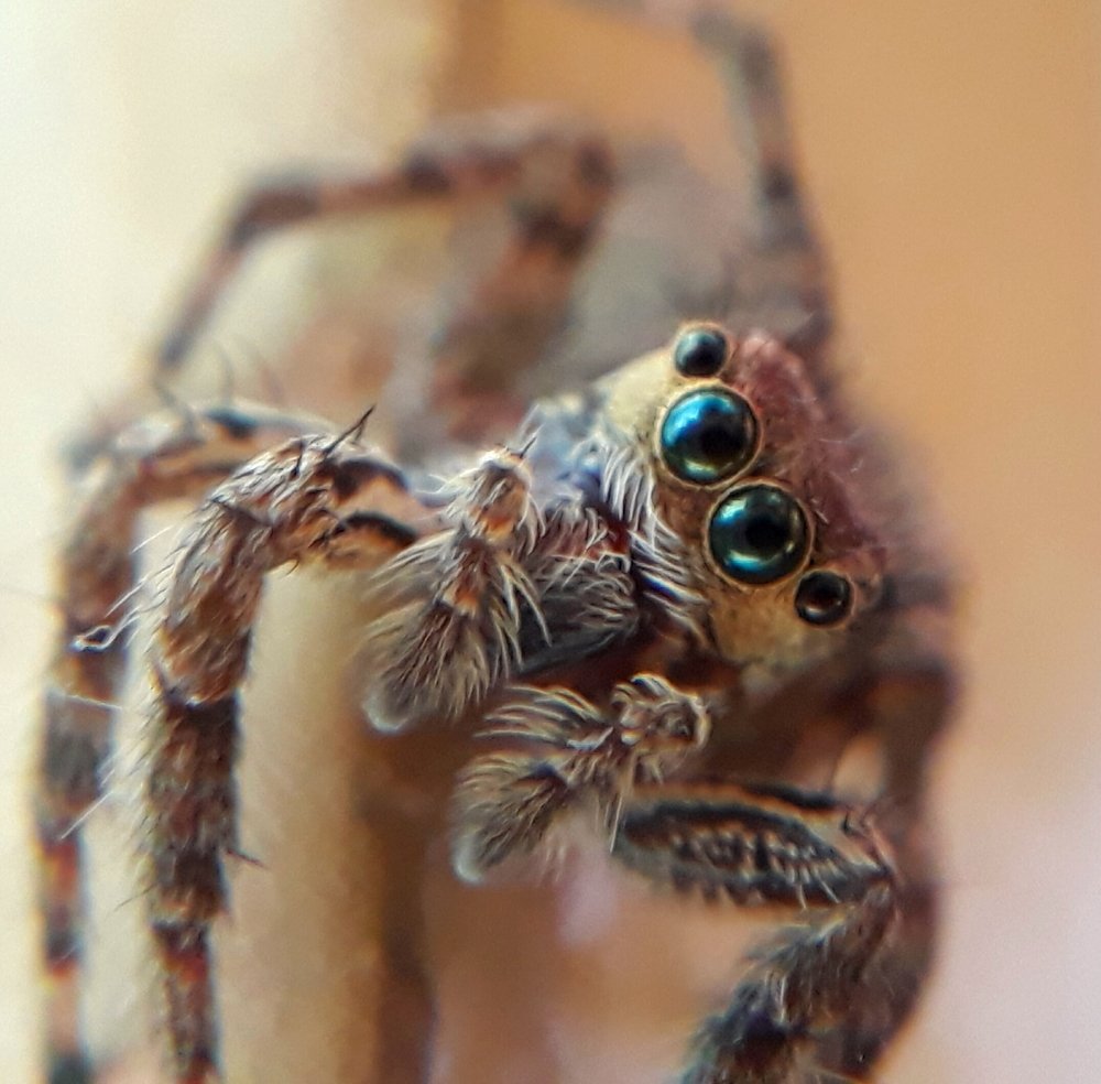 Photograph by Subrata Das