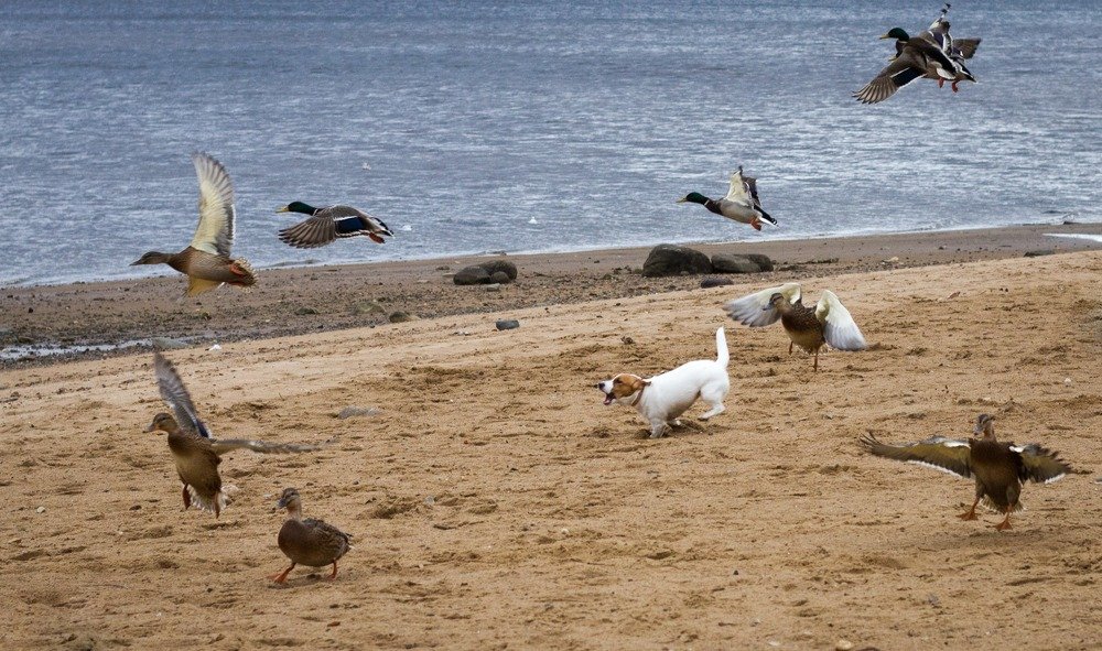 Photograph by Ксения Березкина