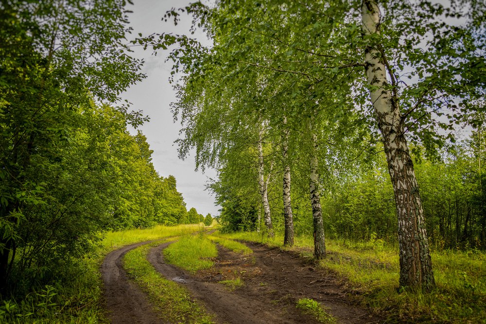 После дождя..