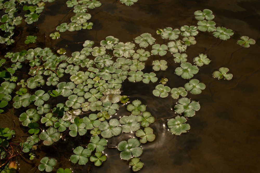 Photograph by Роман Васильев