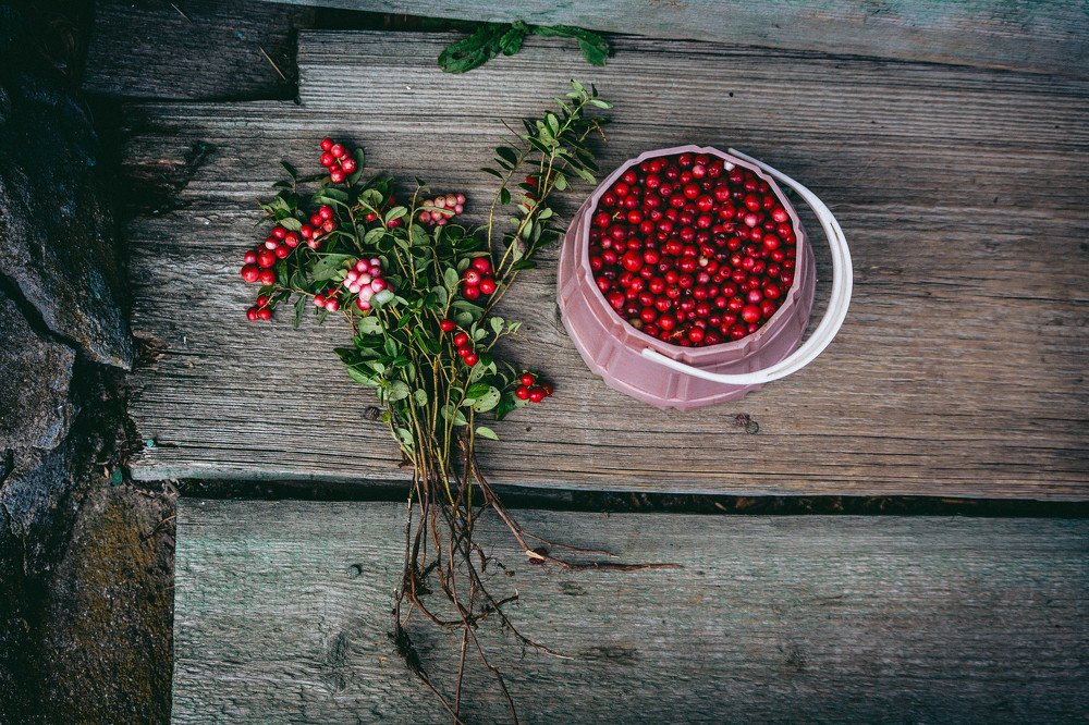 Photograph by Ольга Мурзина