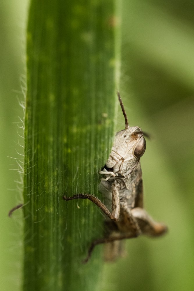 Photograph by Александра