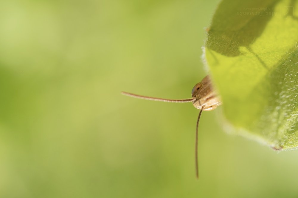 Photograph by Александра