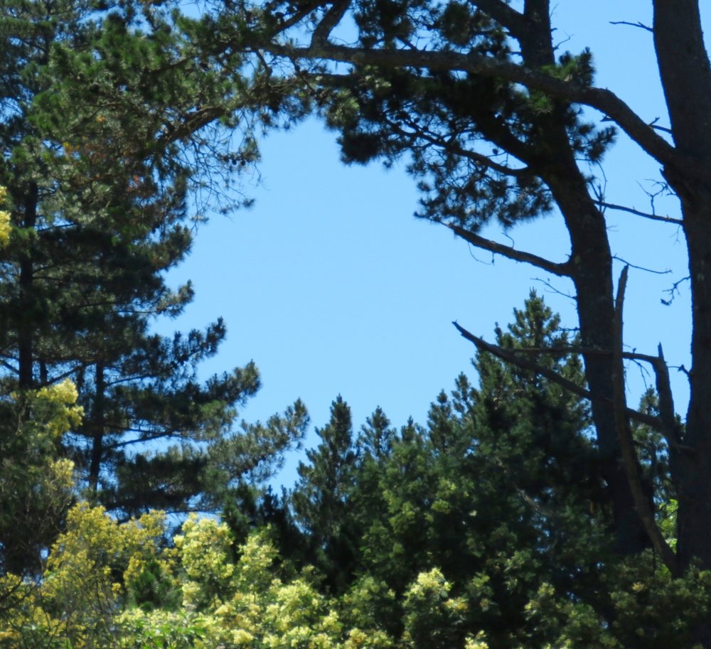 Photograph by Lanie Badenhorst