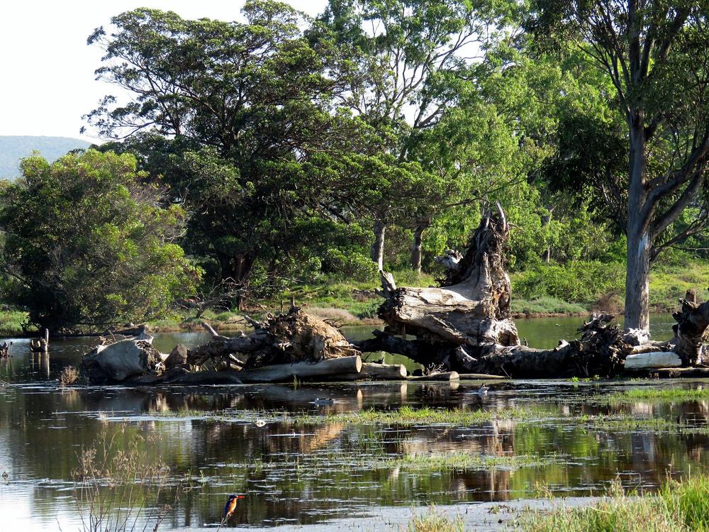 Photograph by Lanie Badenhorst