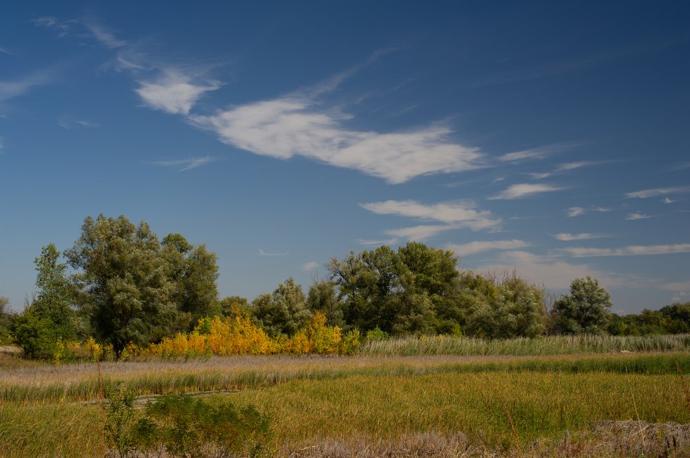 Photograph by Роман Васильев