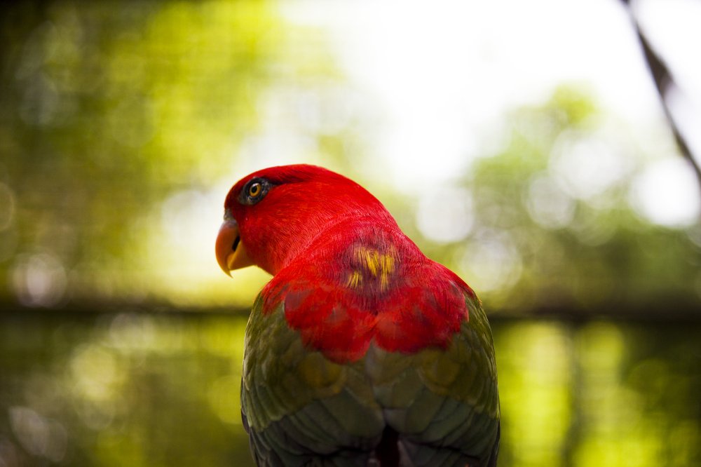 Photograph by Anuar Khairul