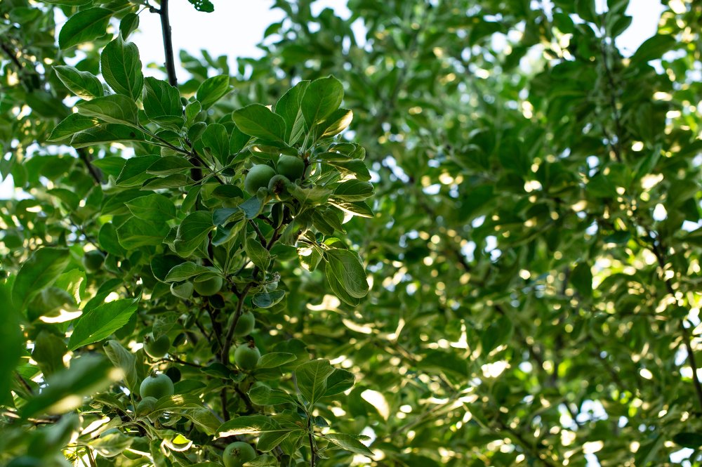 Photograph by Роман Васильев