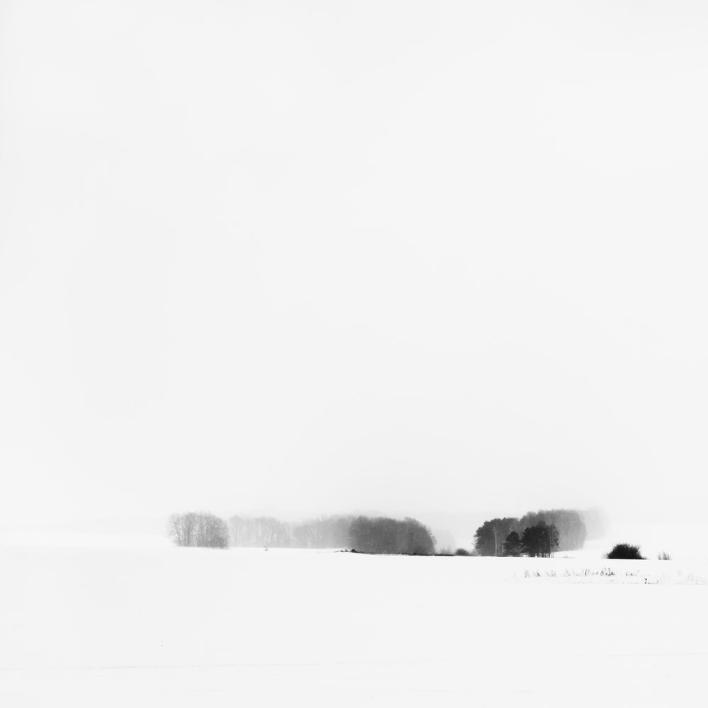 Фотография автора Елена Хазина