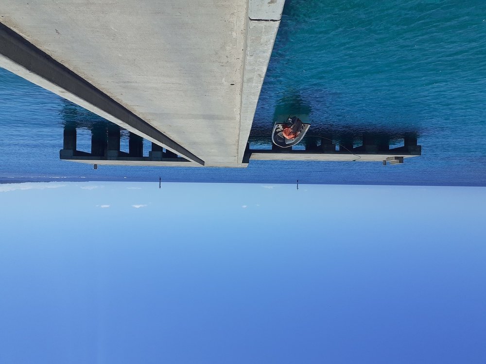 Photo #3733334