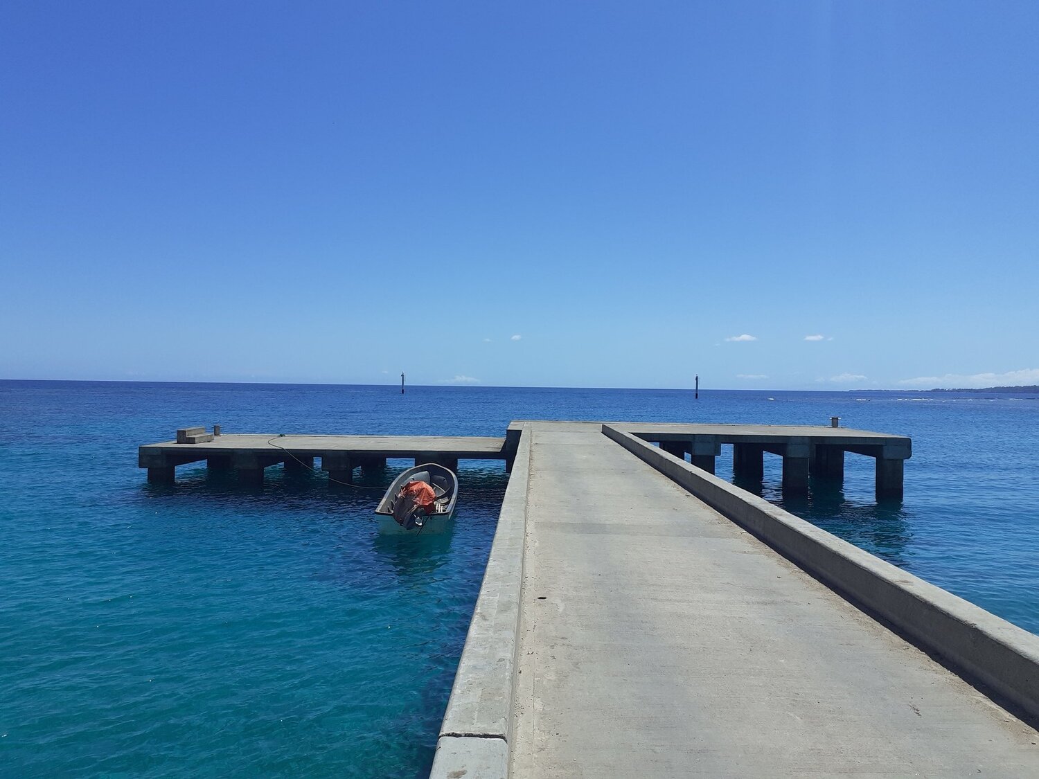 Photo #3733334