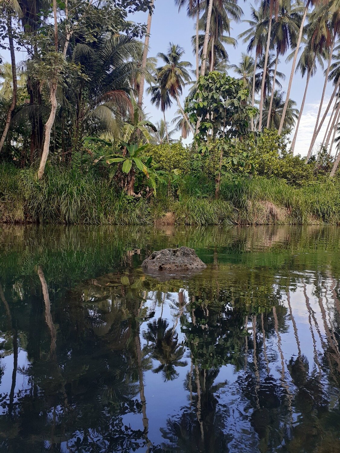 Photo #3733345