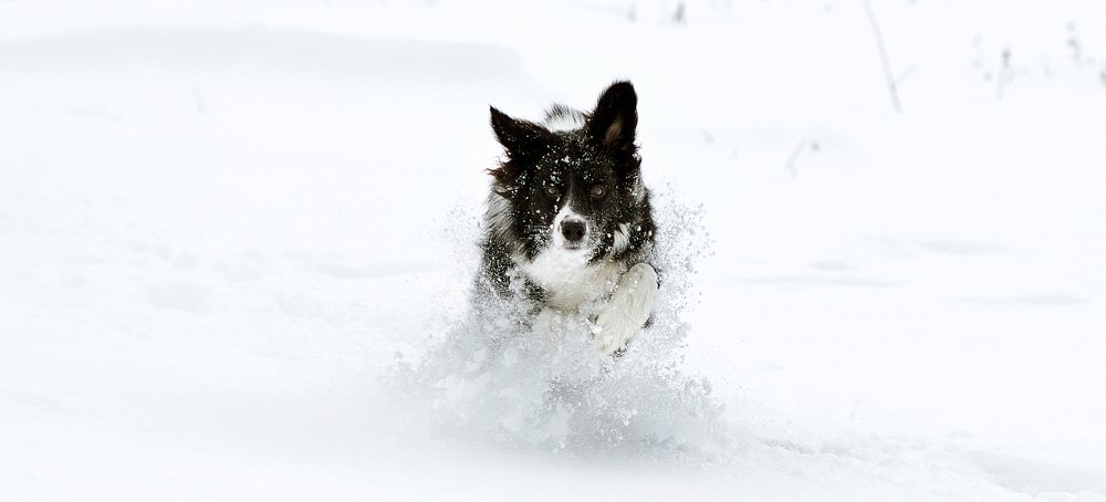 Photograph by Сергей Медведский