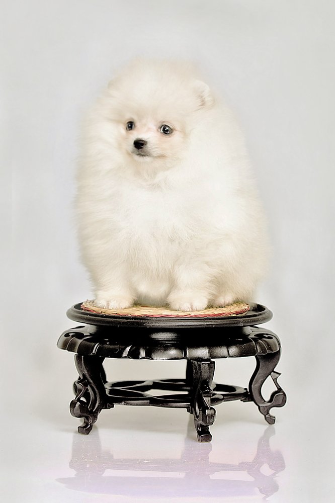 Photograph by Волгина Елена