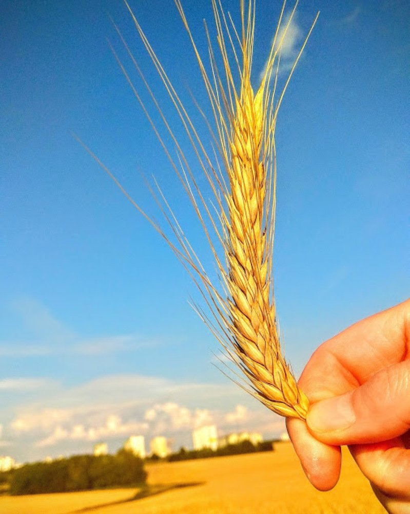 Photograph by Юрий Архиреев