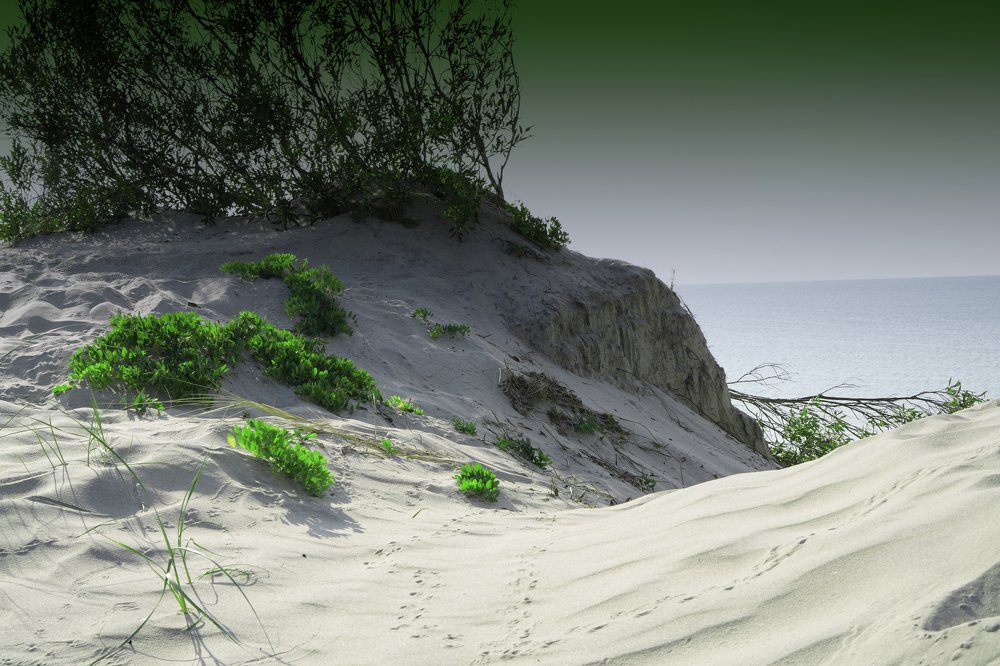 Фотопроект "Сон чайки"