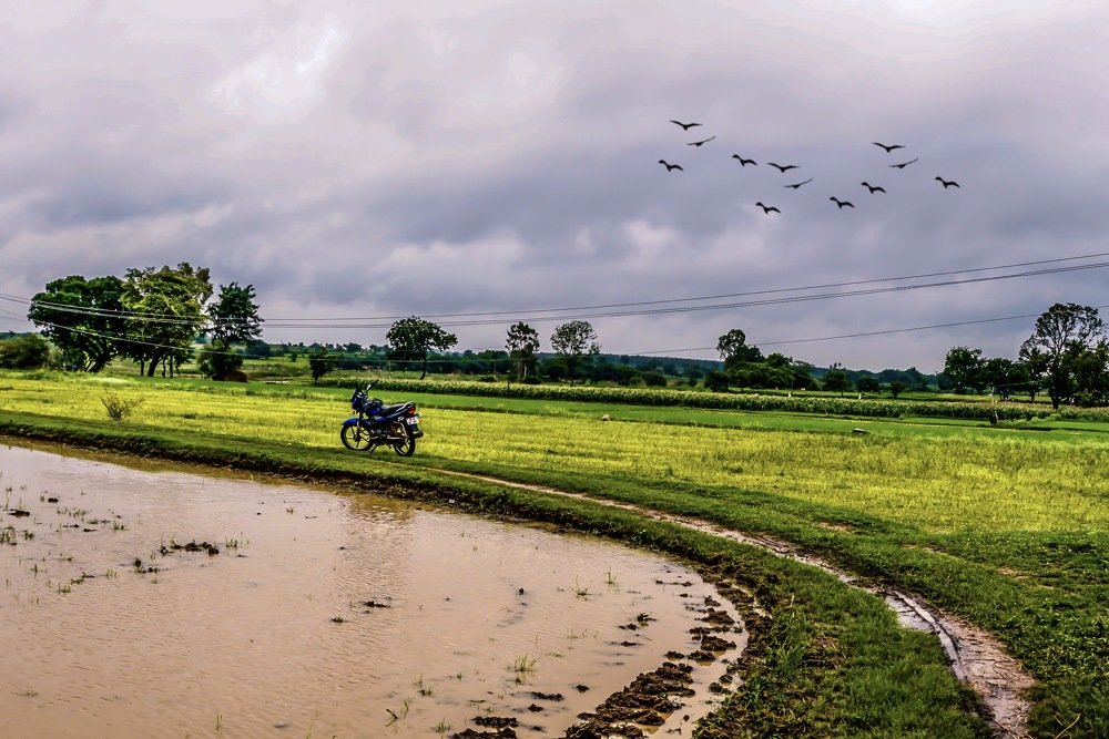 Photograph by Madhusudhan Reddy Bendrum