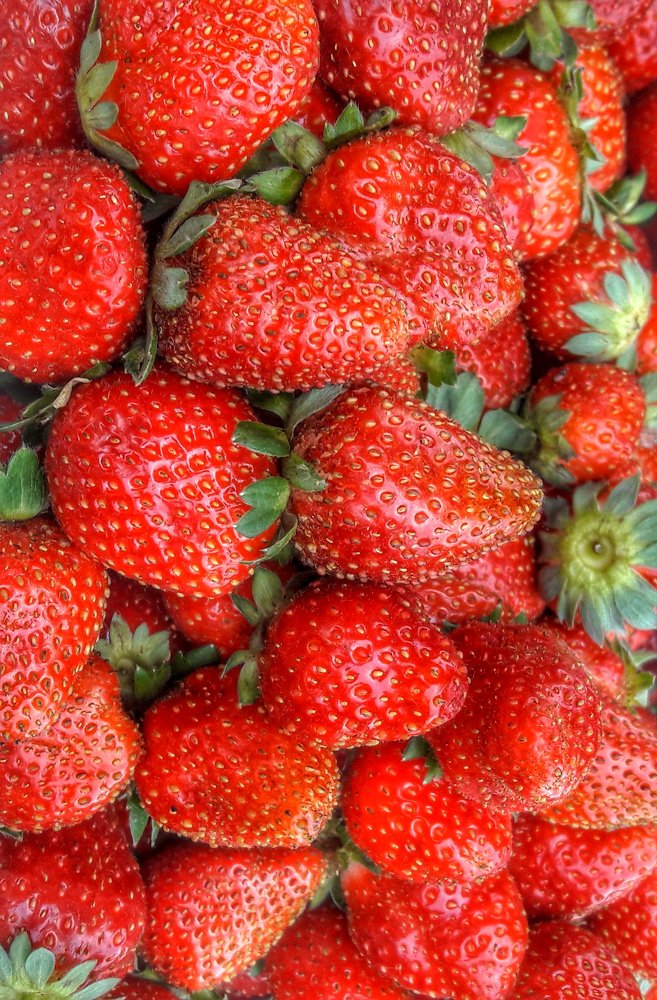 Photograph by Atul mehta