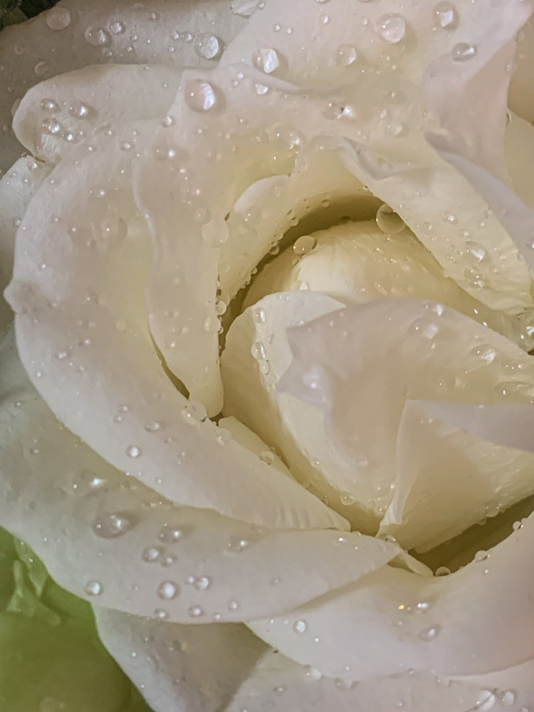 Photograph by Марина Хавронина