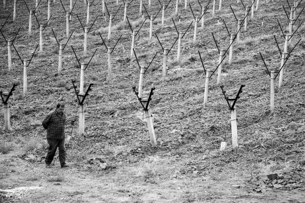 Photograph by Cem Yakal