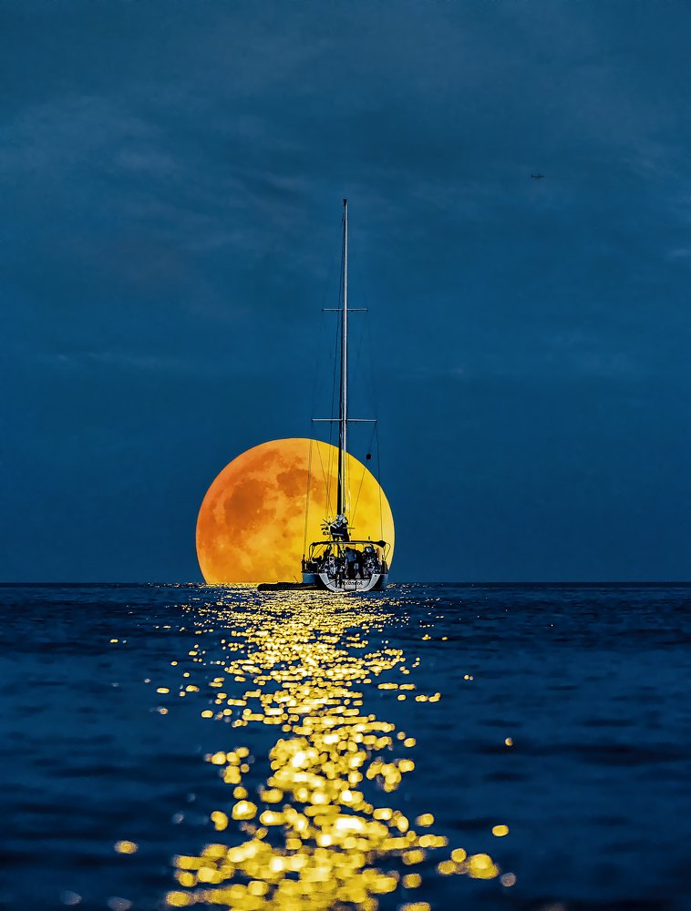 Photograph by 