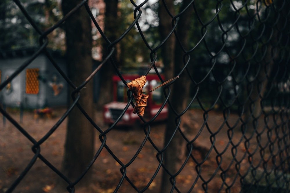 Photograph by Игорь Селин