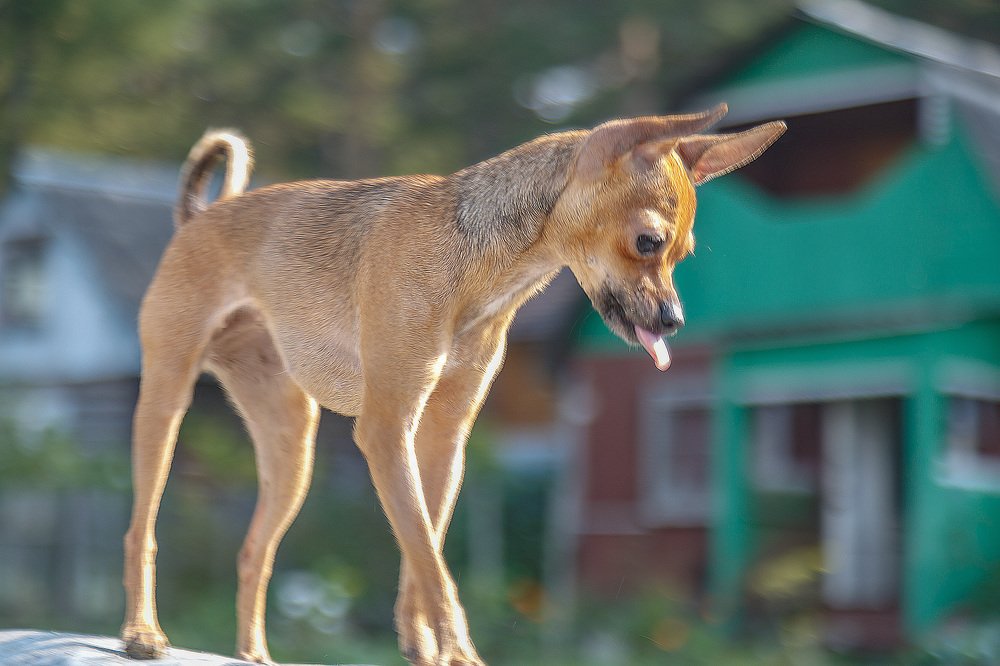 Photograph by Борис Платицин