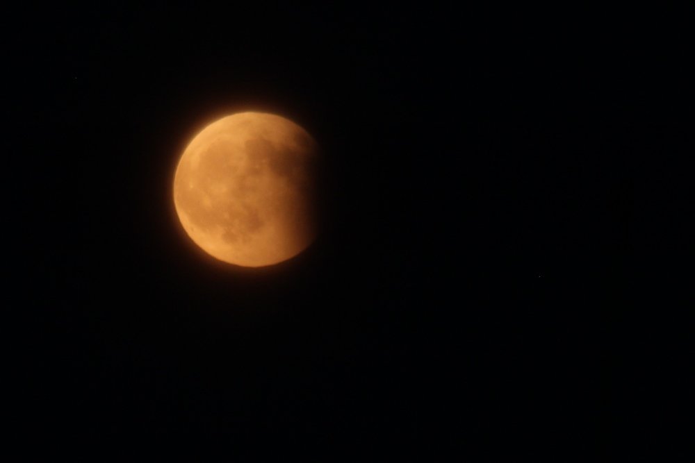 Photograph by Александр Велигура