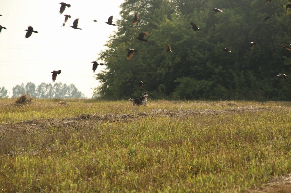 Фотография автора Инна Шикина