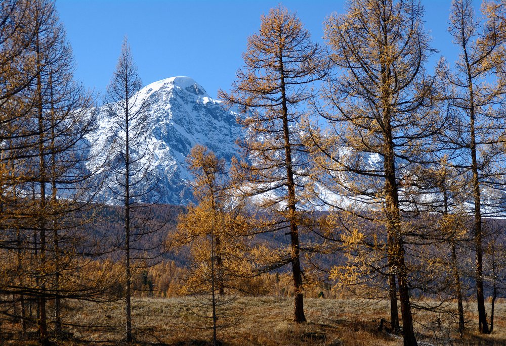 Photograph by Наталья Волошина