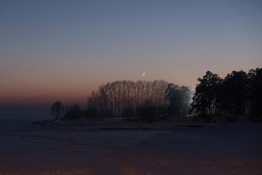 Photograph by Анжелика