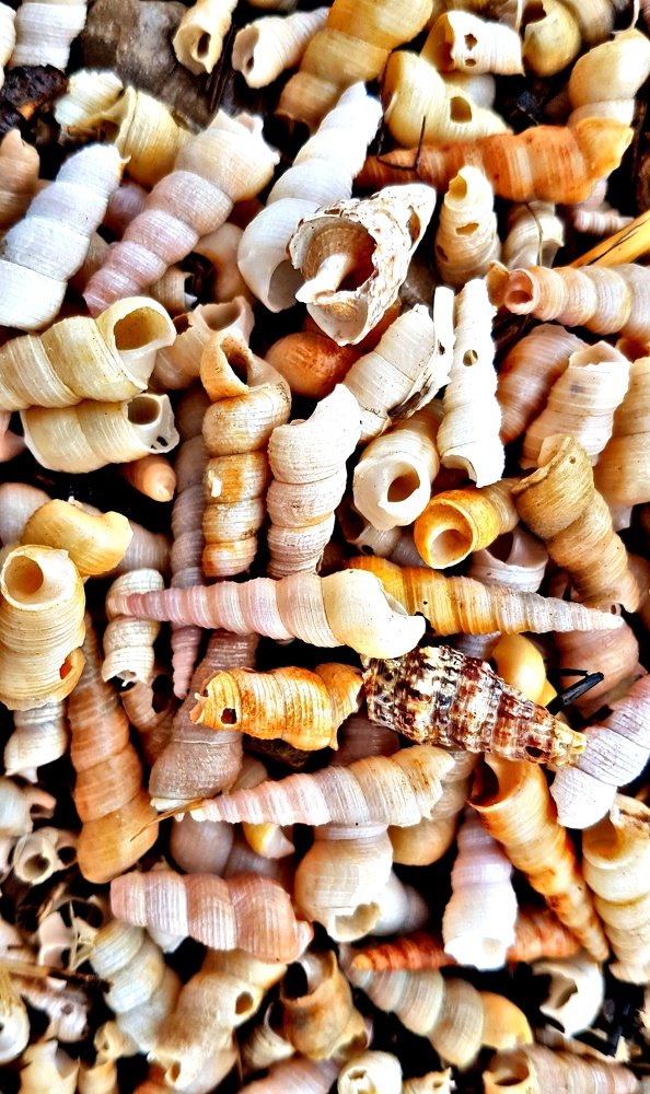 Photograph by Mojca Rebol