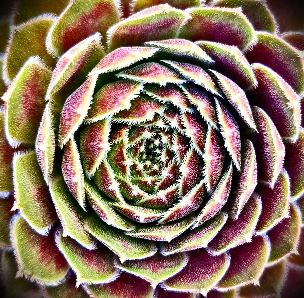 Photograph by Mojca Rebol