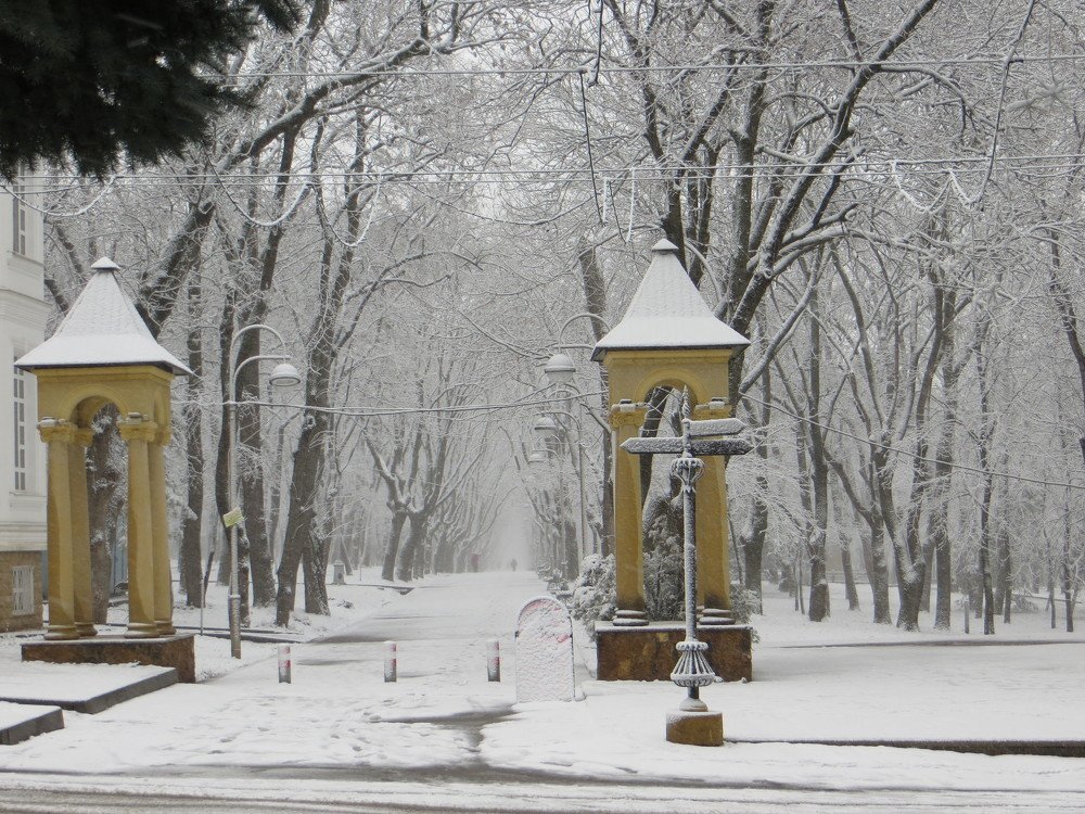 Photograph by Галина