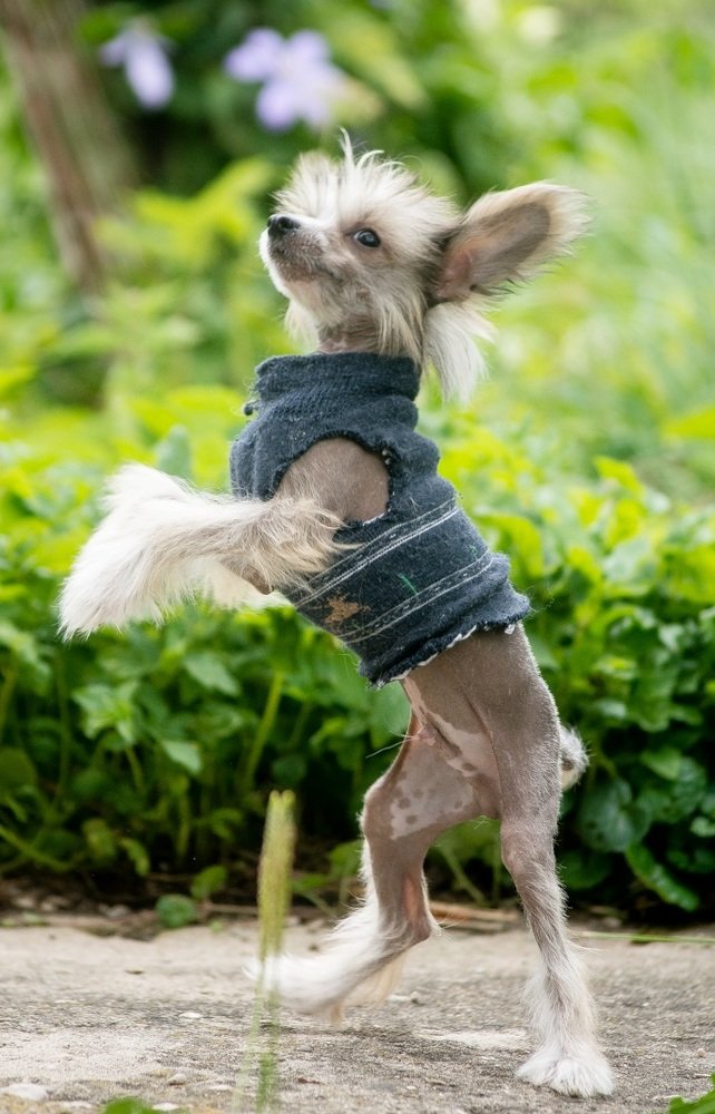 Фотография автора Ксения Петрова