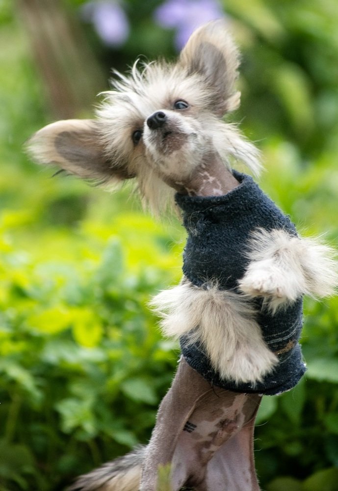 Фотография автора Ксения Петрова