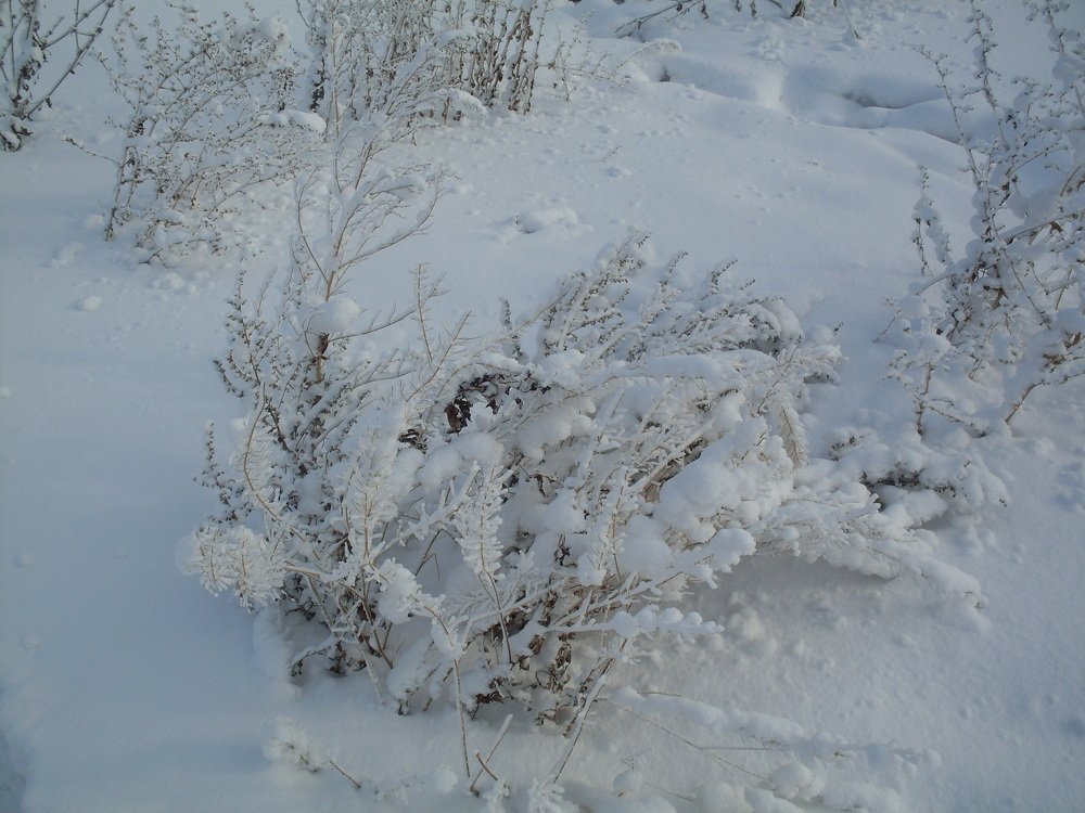 Photograph by Галина